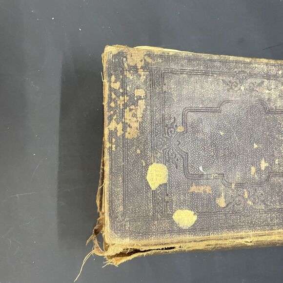 Plain Home Talk Medical Common Sense, OLD, Illustrated HB - Picture 7 of 12